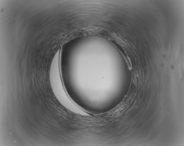 X0000085841010200703161050