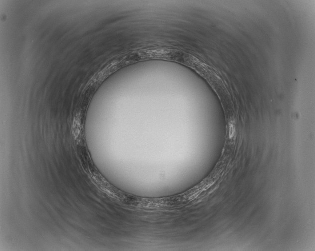 X0000085841011200703161050