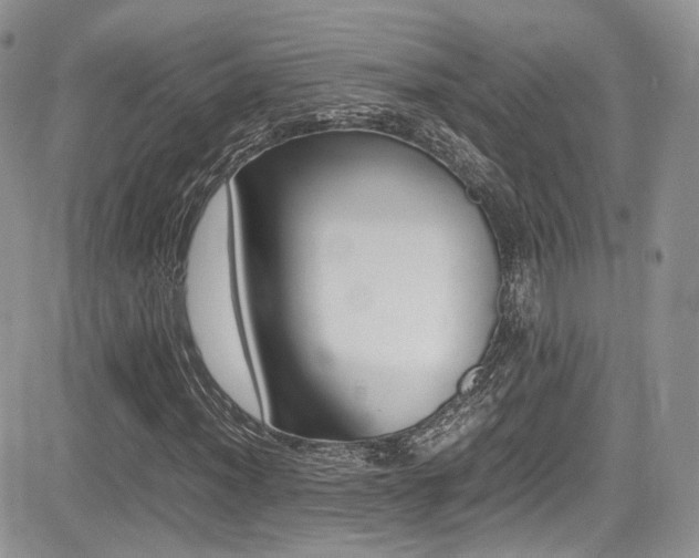X0000085841012200703161050