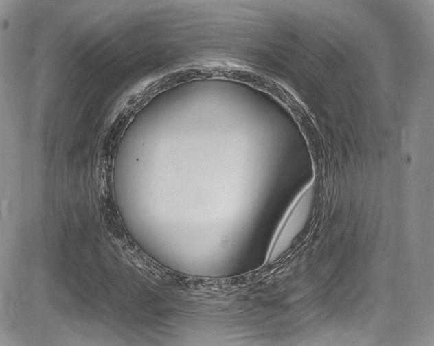 X0000085841016200703161050