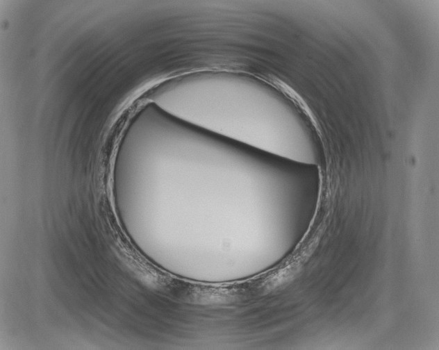 X0000085841019200703161050