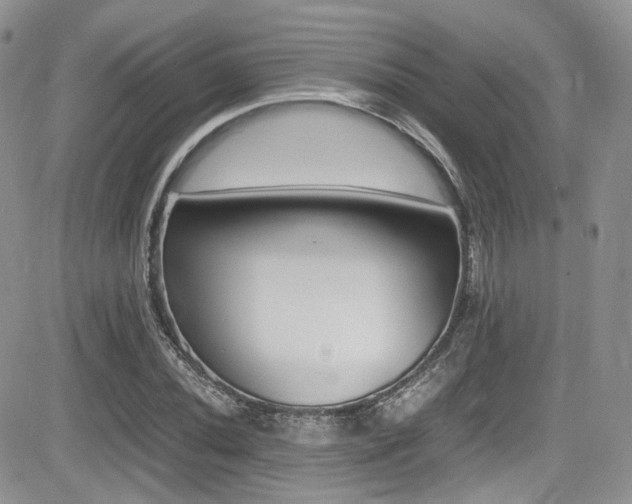 X0000085841020200703161050