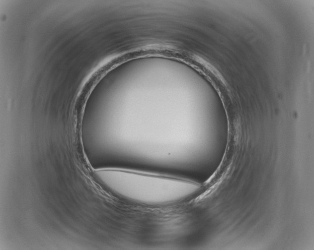 X0000085841021200703161050