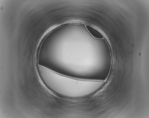 X0000085841045200703161050