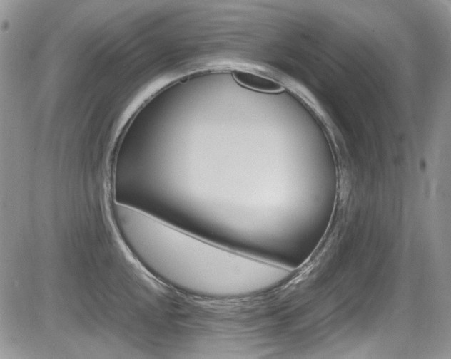X0000085841048200703161051