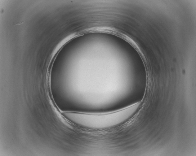X0000085841050200703161051