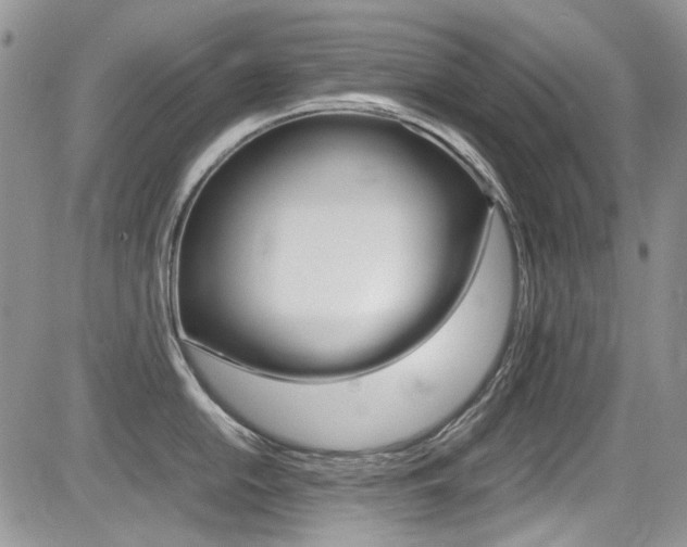 X0000085841054200703161051
