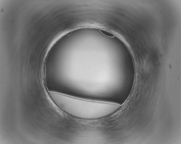 X0000085841056200703161051