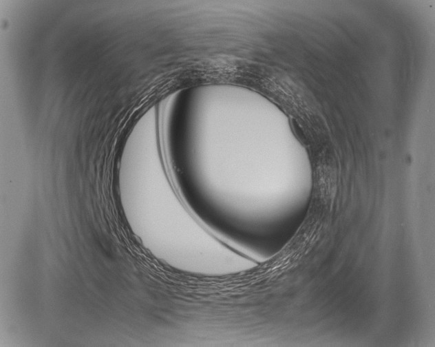 X0000085841057200703161050