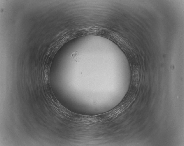 X0000085841058200703161050