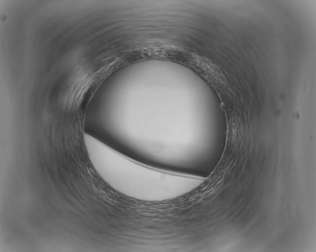 X0000085841060200703161050