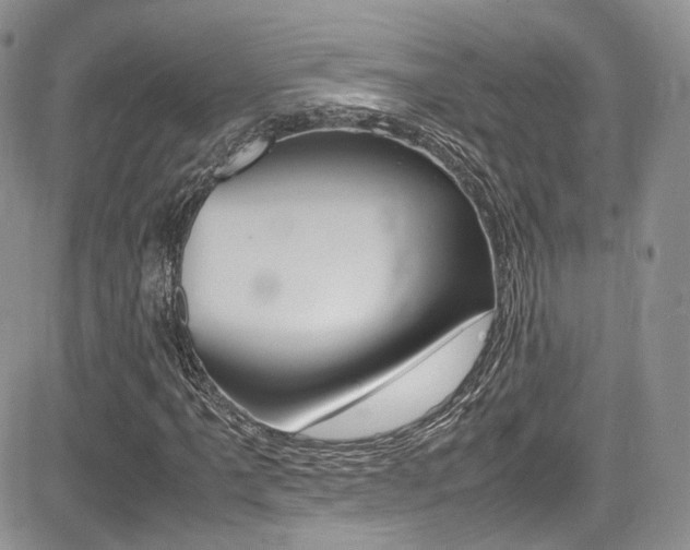X0000085841061200703161050