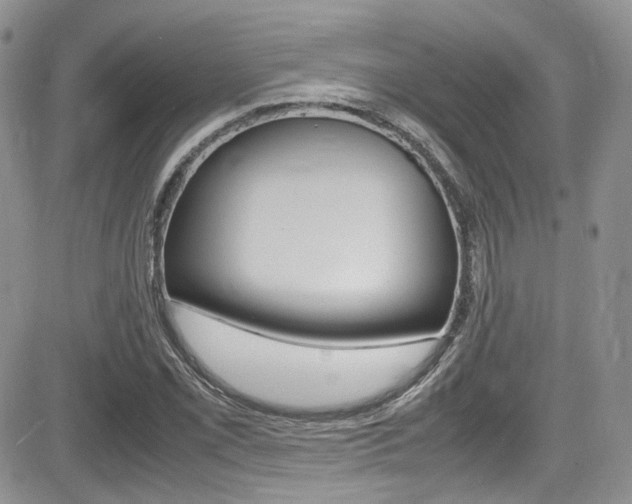 X0000085841069200703161050