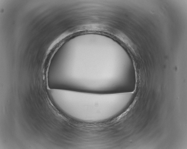 X0000085841070200703161050