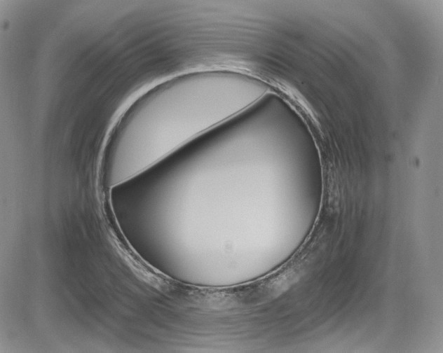 X0000085841072200703161050