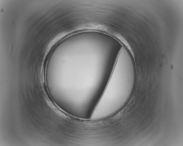 X0000085841080200703161049