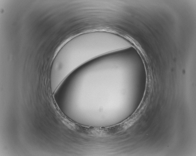 X0000085841097200703161049
