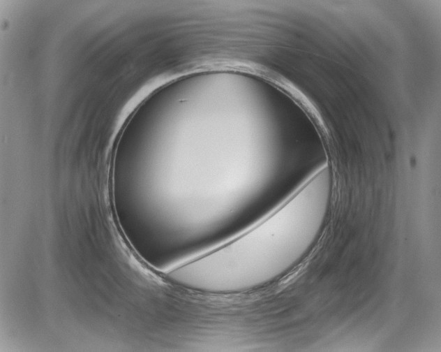 X0000085841102200703161049