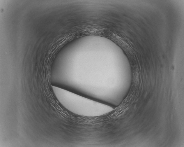 X0000085841105200703161048