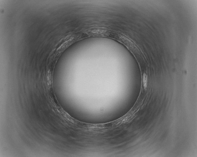 X0000085841107200703161048