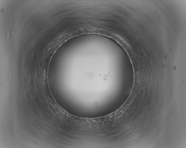 X0000085841111200703161048