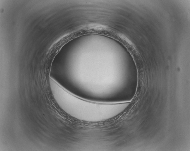 X0000085841112200703161048