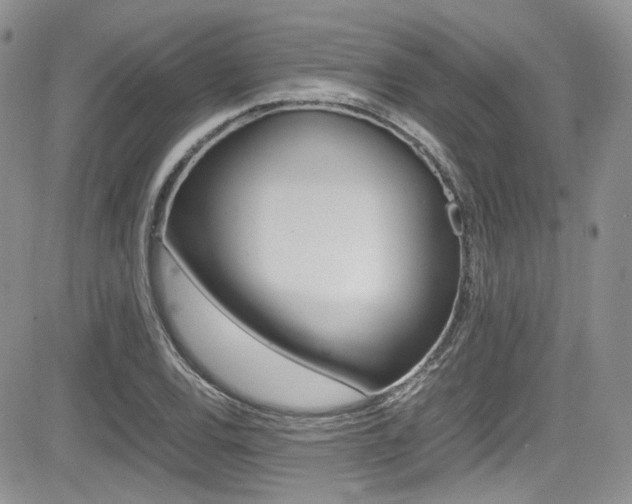 X0000085841120200703161048
