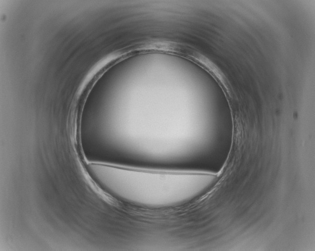 X0000085841131200703161049