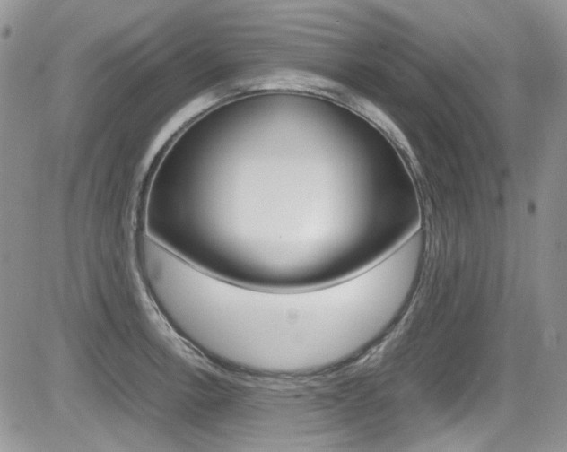 X0000085841138200703161049