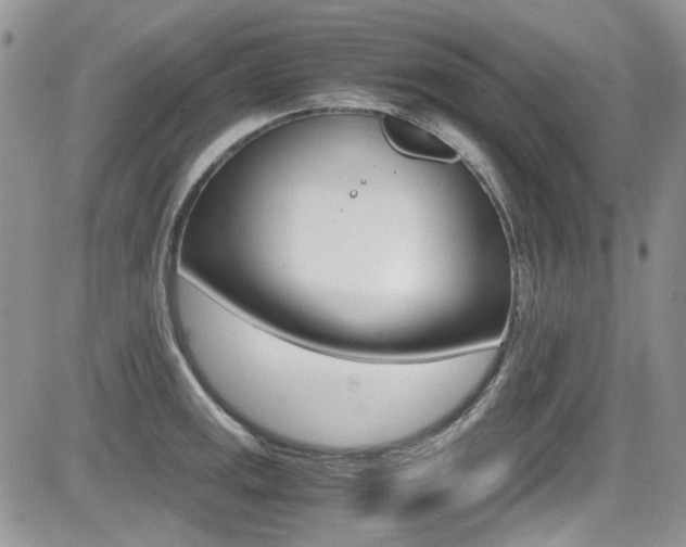X0000085841141200703161049