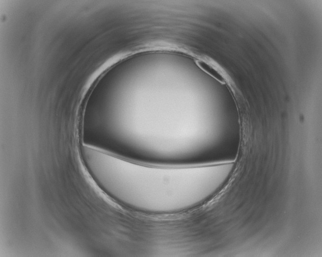 X0000085841142200703161049