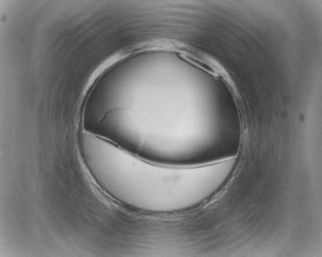 X0000085841146200703161049