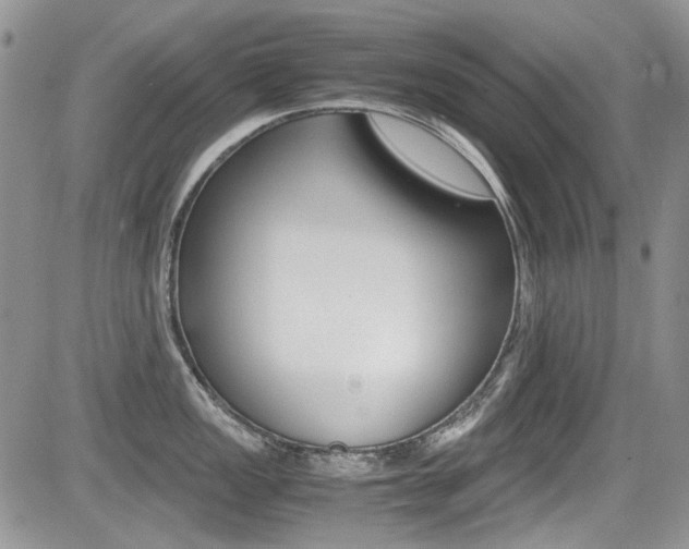 X0000085841149200703161049