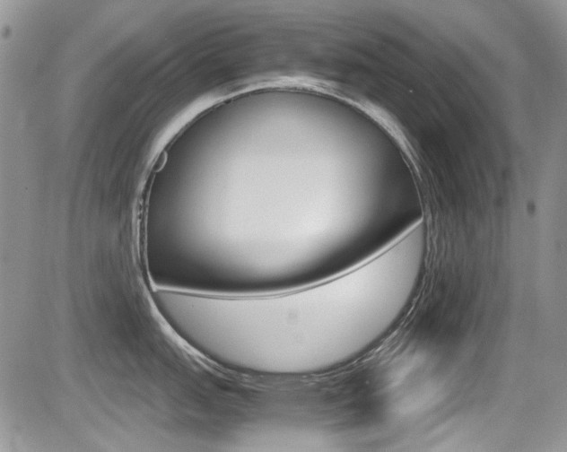 X0000085841151200703161049