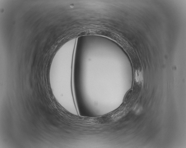X0000085841155200703161048
