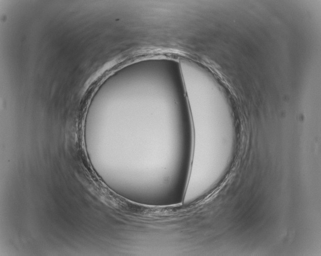 X0000085841165200703161048