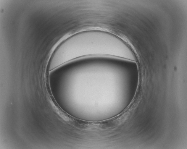 X0000085841181200703161048