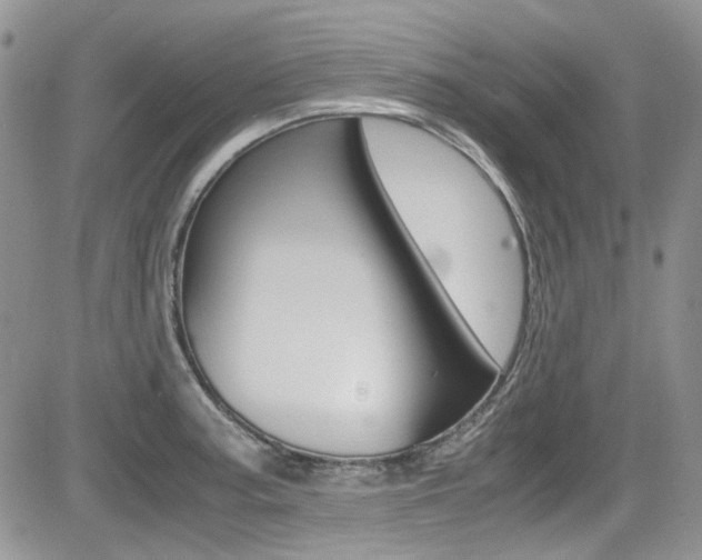 X0000085841187200703161048