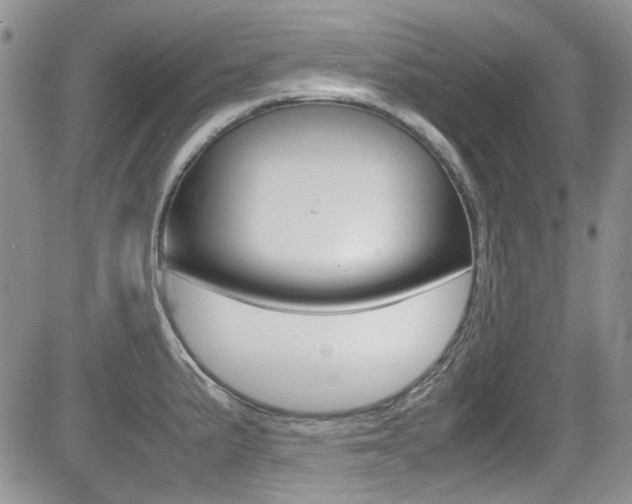 X0000085841191200703161048