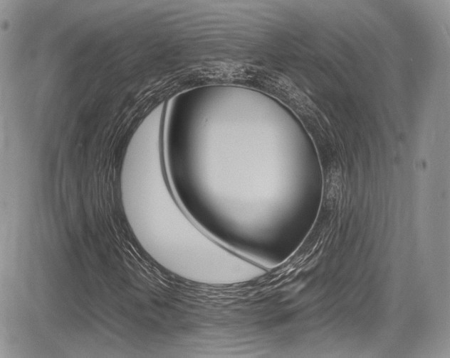 X0000085841202200703161047