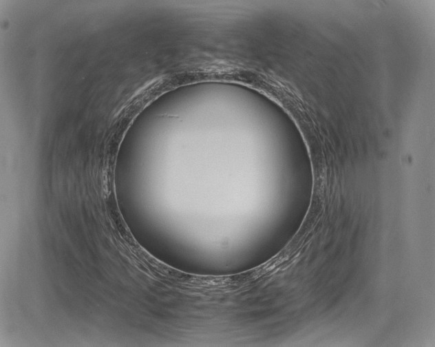 X0000085841205200703161047