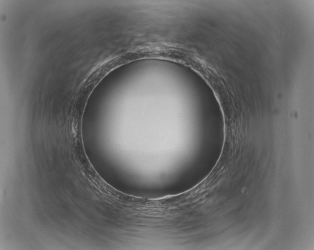X0000085841206200703161047