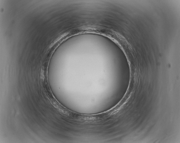 X0000085841209200703161047