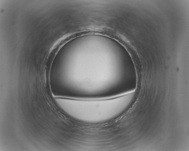 X0000085841214200703161047