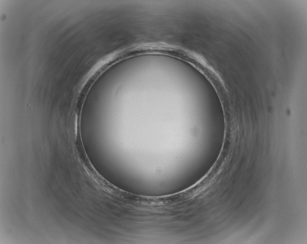 X0000085841221200703161047