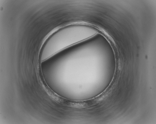 X0000085841229200703161047
