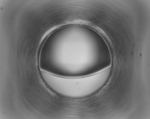 X0000085841230200703161047