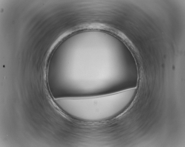 X0000085841232200703161047