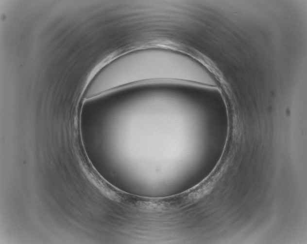X0000085841234200703161047