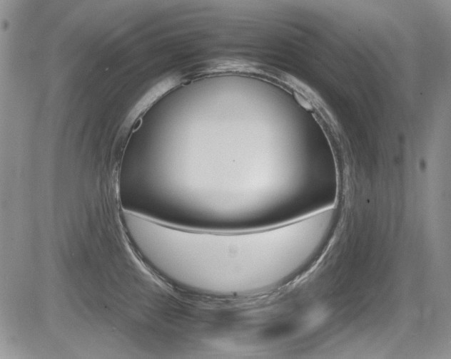 X0000085841241200703161047